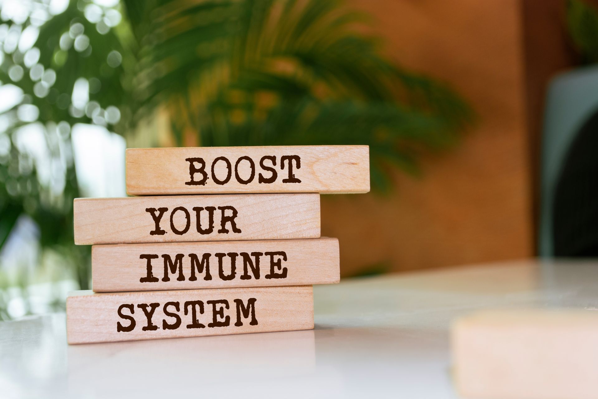 Drewniane klocki z napisem boost your immune system